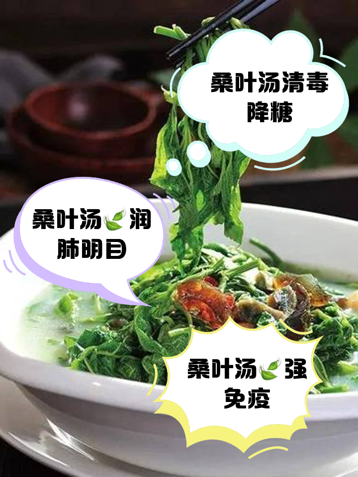 桑叶汤的做法(鲜桑叶与什么煲汤最好)