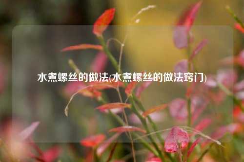 水煮螺丝的做法(水煮螺丝的做法窍门)