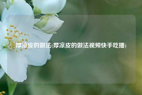 厚凉皮的做法(厚凉皮的做法视频快手吃播)