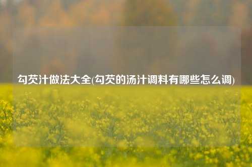 勾芡汁做法大全(勾芡的汤汁调料有哪些怎么调)