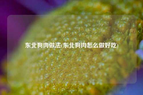 东北狗肉做法(东北狗肉怎么做好吃)