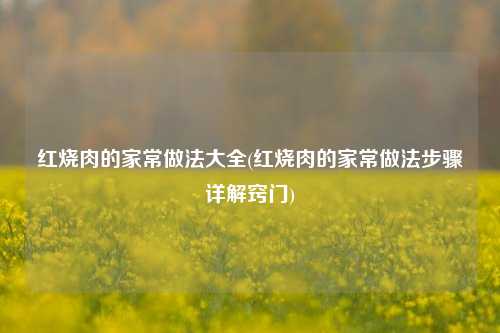 红烧肉的家常做法大全(红烧肉的家常做法步骤详解窍门)