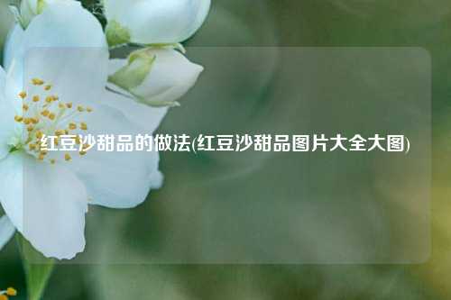 红豆沙甜品的做法(红豆沙甜品图片大全大图)