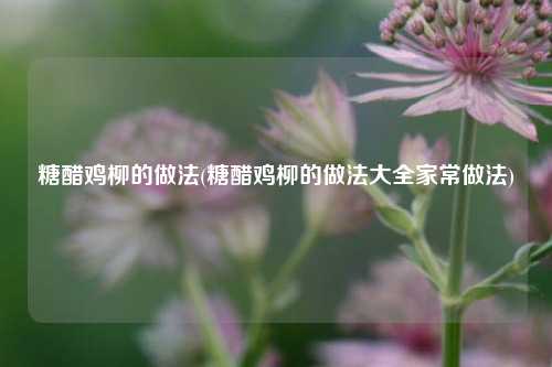 糖醋鸡柳的做法(糖醋鸡柳的做法大全家常做法)