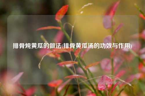 排骨炖黄瓜的做法(排骨黄瓜汤的功效与作用)