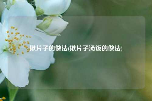 揪片子的做法(揪片子汤饭的做法)