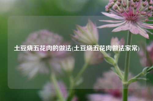 土豆烧五花肉的做法(土豆烧五花肉做法家常)