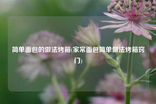 简单面包的做法烤箱(家常面包简单做法烤箱窍门)