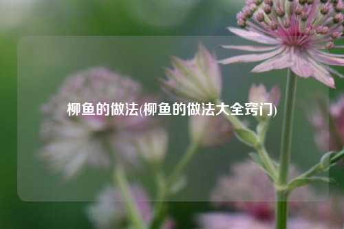 柳鱼的做法(柳鱼的做法大全窍门)