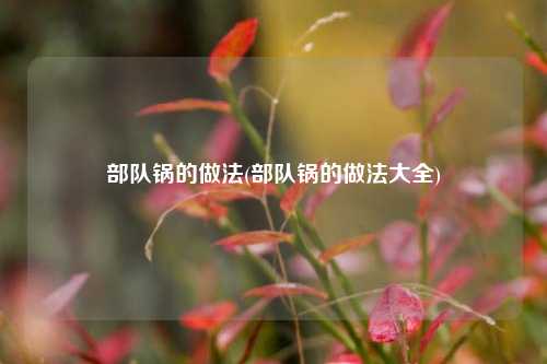 部队锅的做法(部队锅的做法大全)