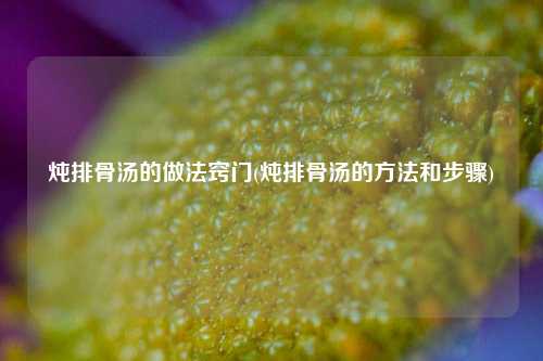 炖排骨汤的做法窍门(炖排骨汤的方法和步骤)