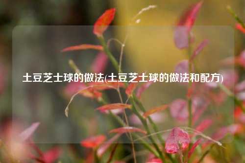 土豆芝士球的做法(土豆芝士球的做法和配方)