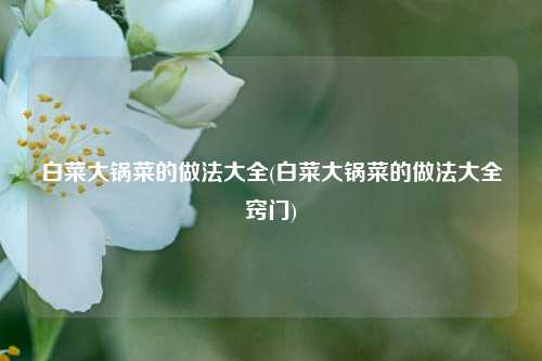 白菜大锅菜的做法大全(白菜大锅菜的做法大全窍门)