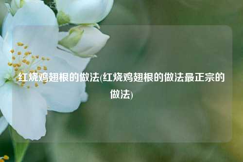 红烧鸡翅根的做法(红烧鸡翅根的做法最正宗的做法)